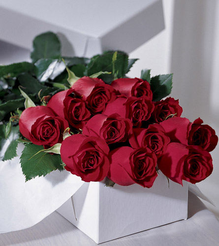 One Dozen Red Boxed Roses