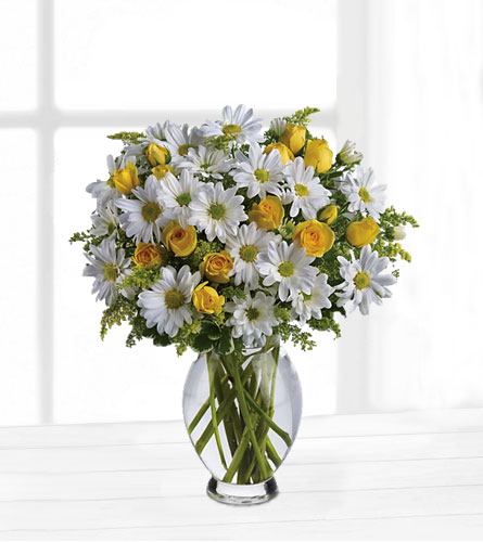 Teleflora's Amazing Daisy